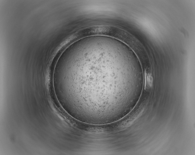 X0000112780435200908201532