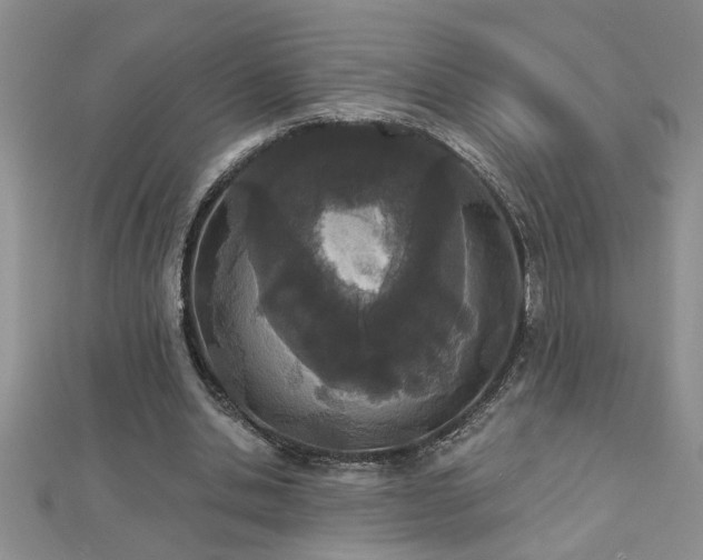 X0000112780438200908201532