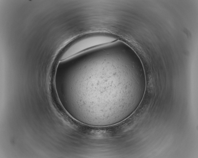 X0000112780440200908201532