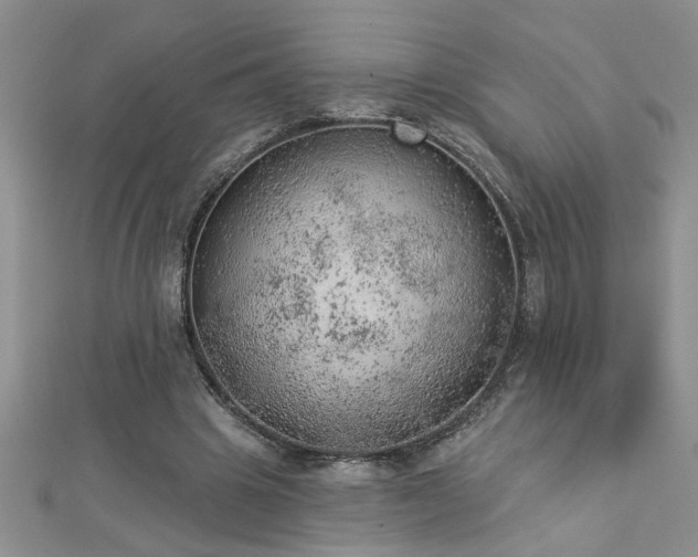 X0000112780441200908201532