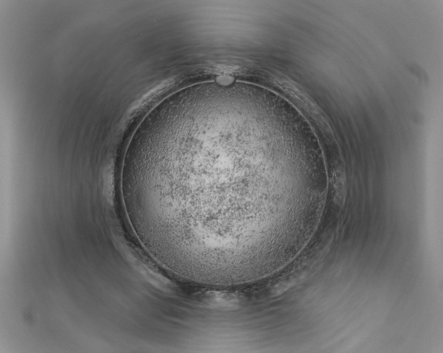 X0000112780442200908201532