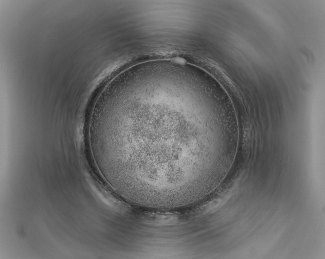 X0000112780443200908201532