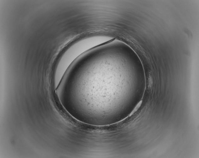 X0000112780444200908201532