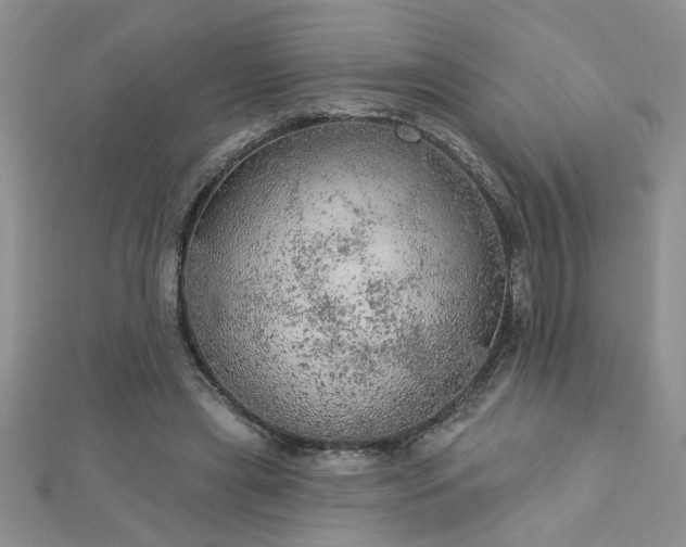 X0000112780445200908201532