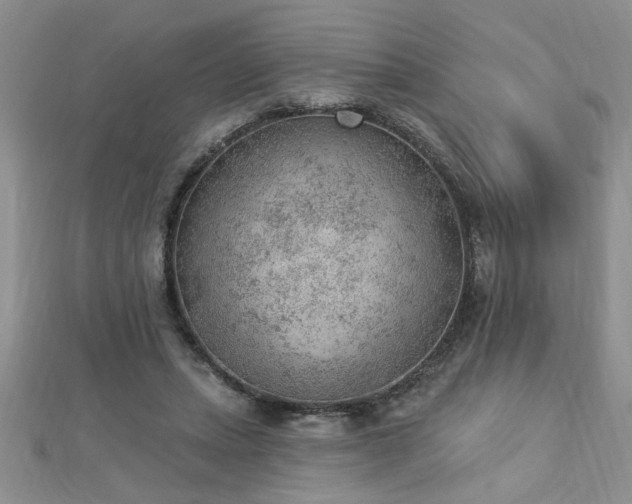 X0000112780447200908201532