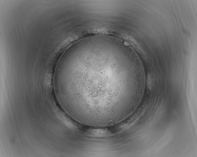 X0000112780449200908201532