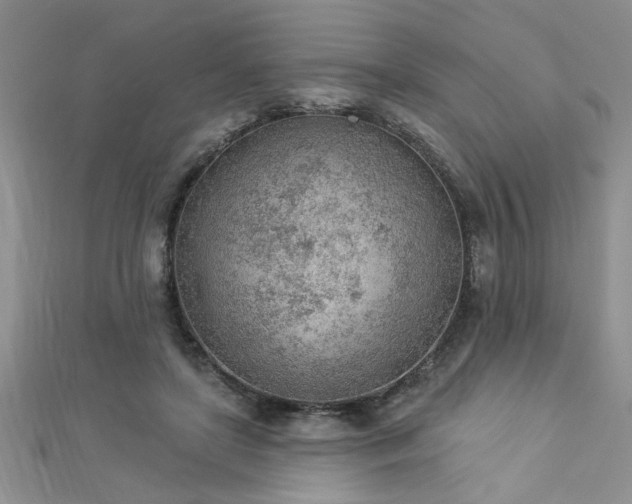 X0000112780451200908201532