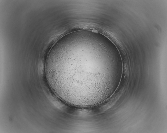 X0000112780453200908201532