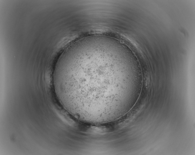 X0000112780455200908201532