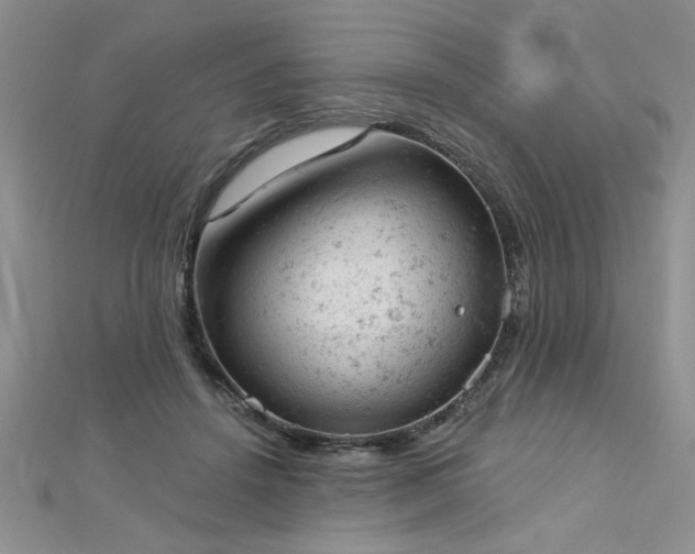 X0000112780456200908201532