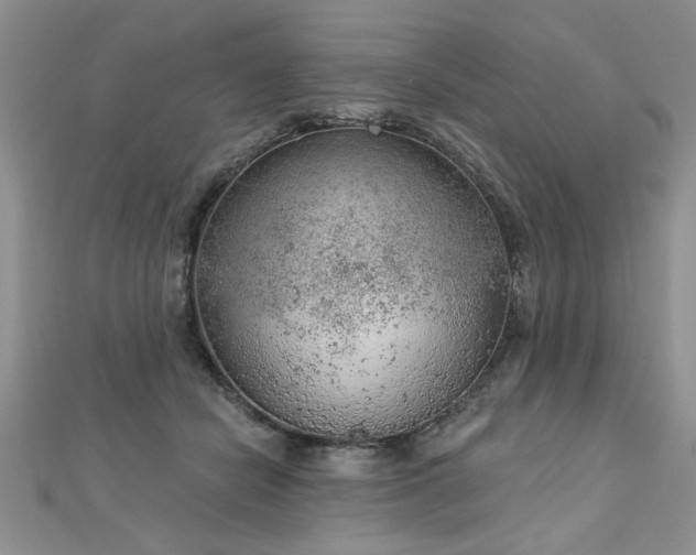 X0000112780462200908201532