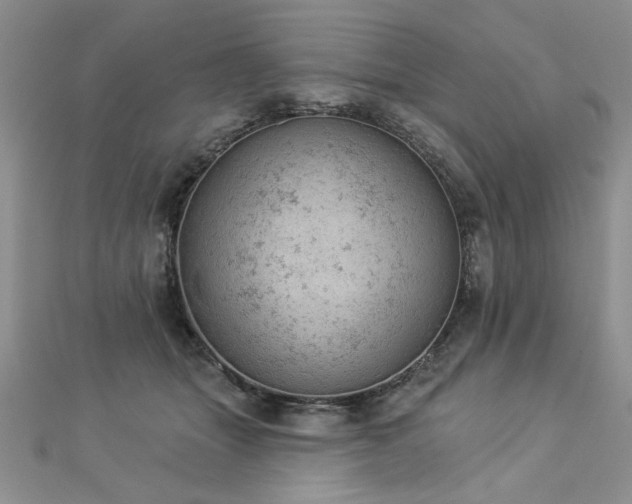 X0000112780463200908201532