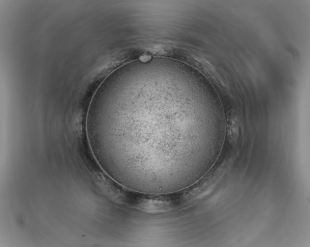 X0000112780466200908201532