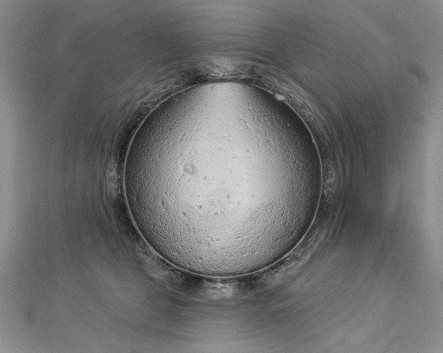 X0000112780469200908201532