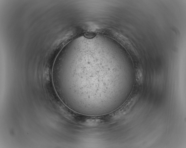 X0000112780470200908201532