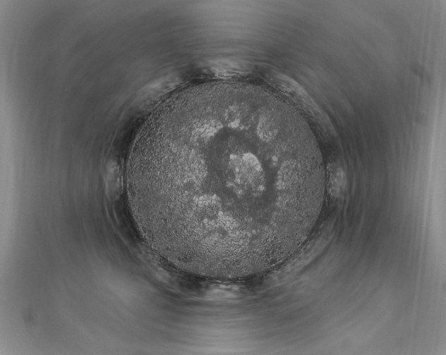 X0000112780471200908201532