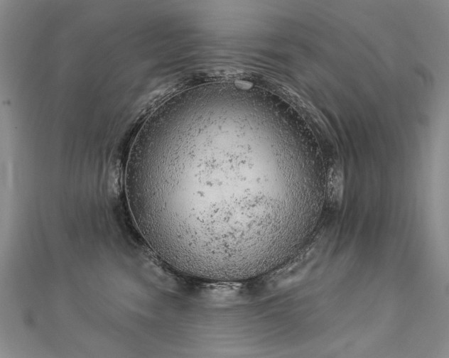 X0000112780474200908201532