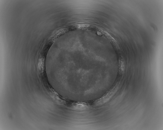 X0000112780475200908201532