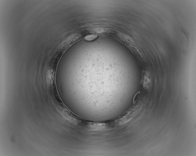 X0000112780476200908201532