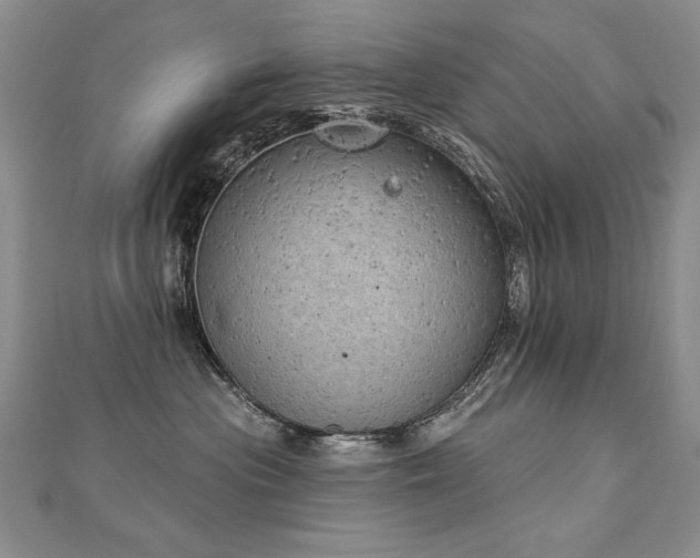 X0000112780477200908201532