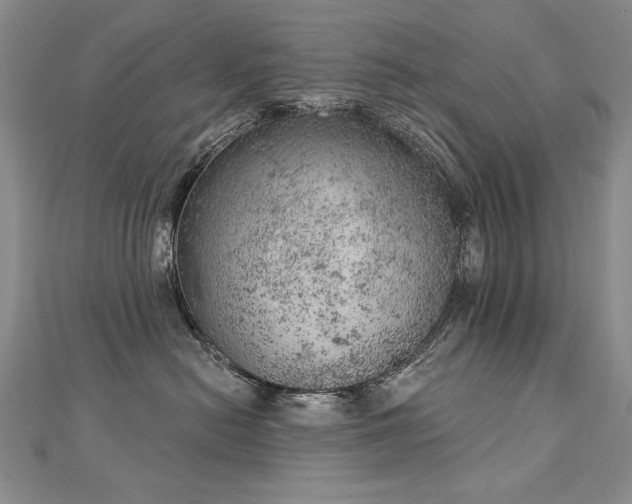 X0000112780478200908201532