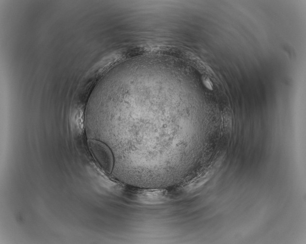 X0000112780479200908201532