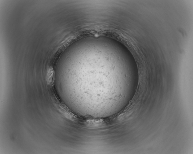 X0000112780480200908201532