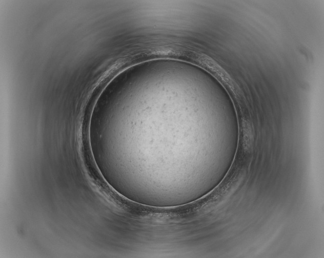 X0000112780482200908201532