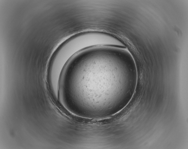 X0000112780484200908201532