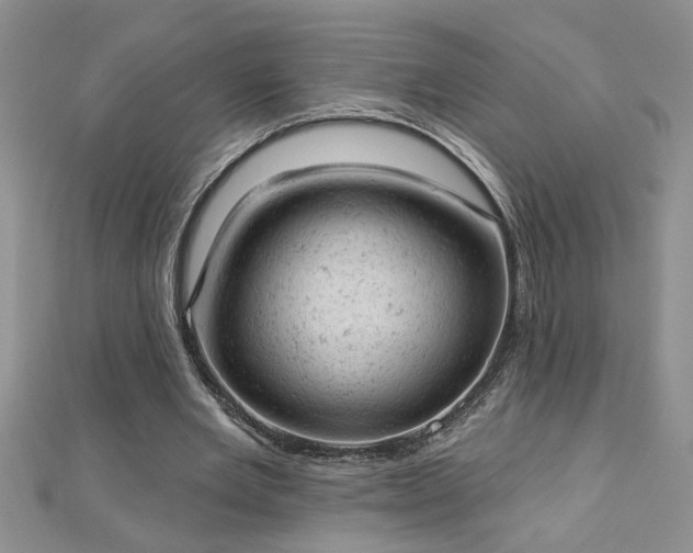 X0000112780485200908201532