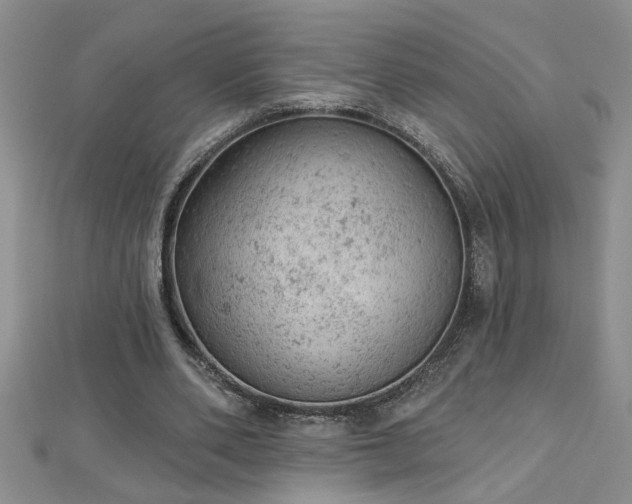 X0000112780486200908201532