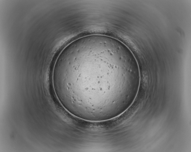 X0000112780487200908201532