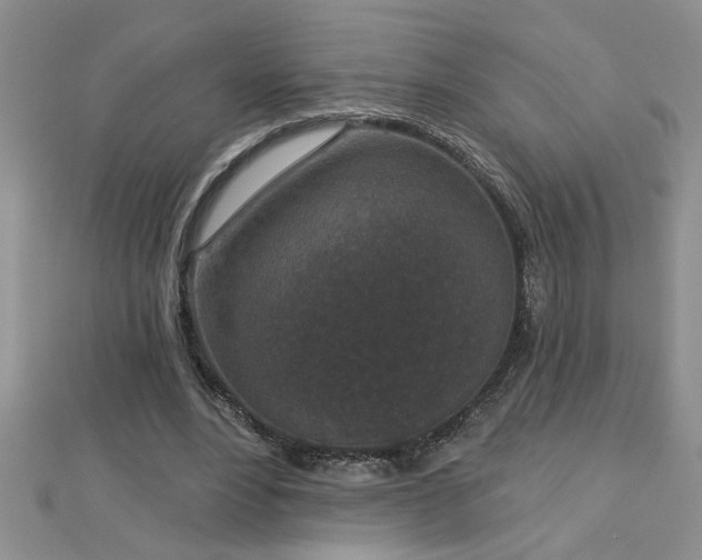 X0000112780488200908201532