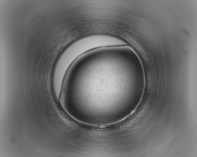 X0000112780489200908201532