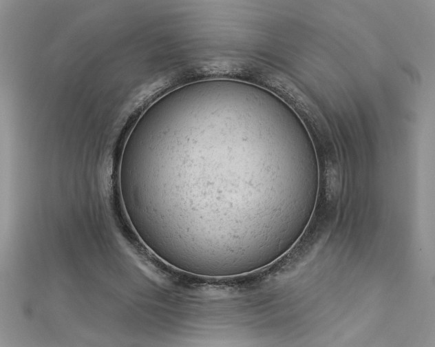 X0000112780490200908201532