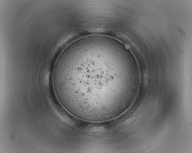 X0000112780491200908201532