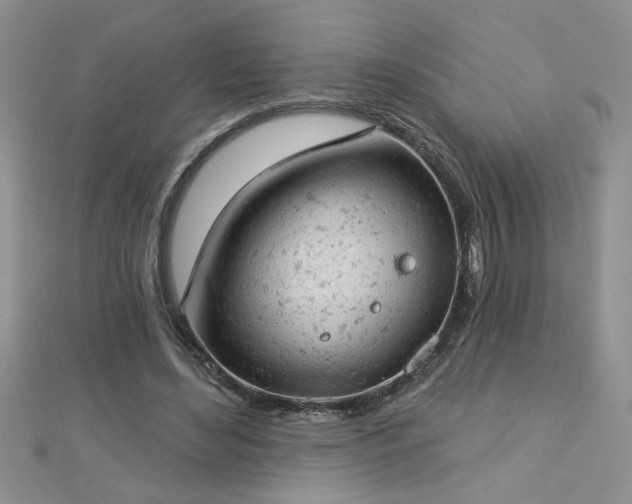 X0000112780492200908201532