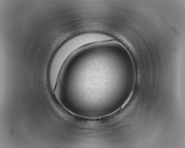 X0000112780493200908201532