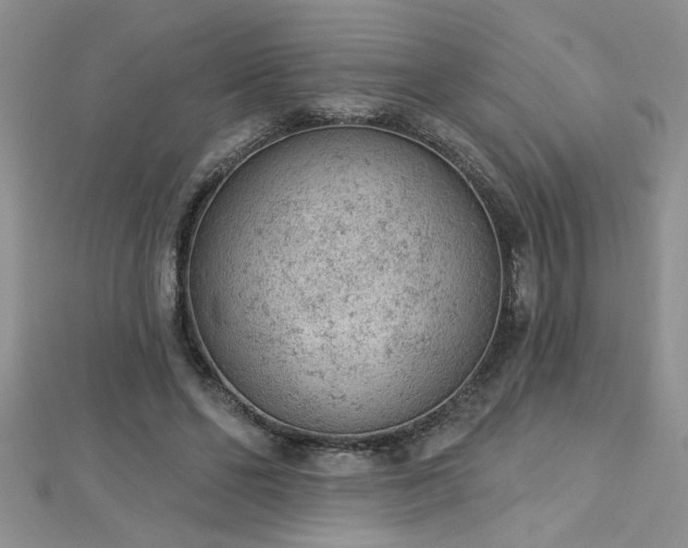 X0000112780494200908201532