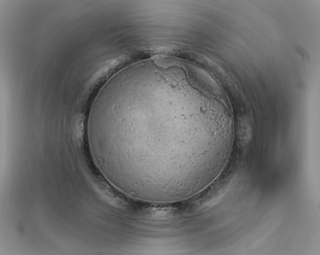 X0000112780495200908201532