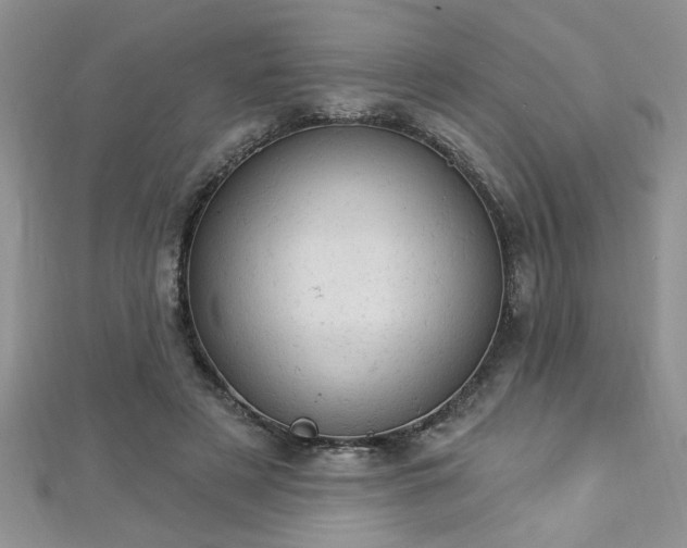 X0000112780497200908201532