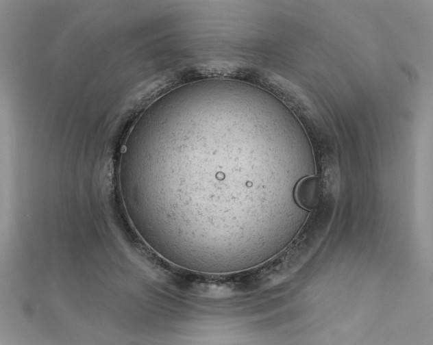 X0000112780498200908201532