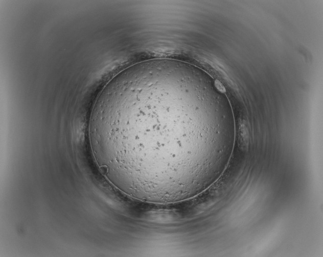 X0000112780499200908201532