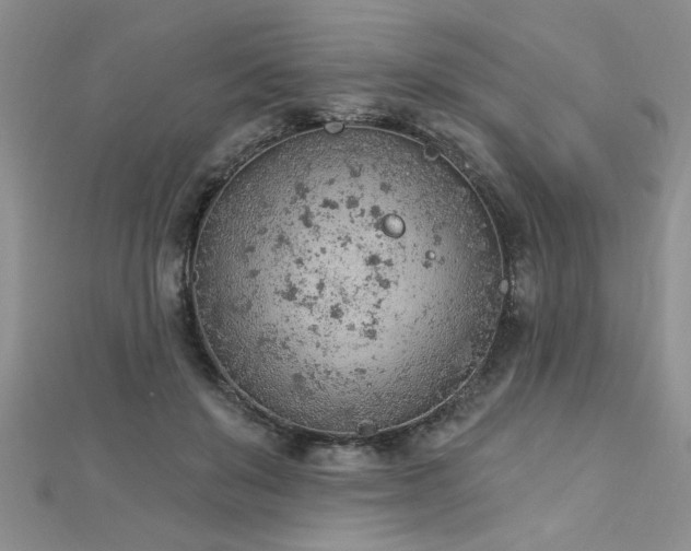 X0000112780503200908201532