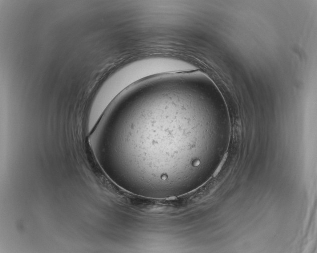 X0000112780504200908201532