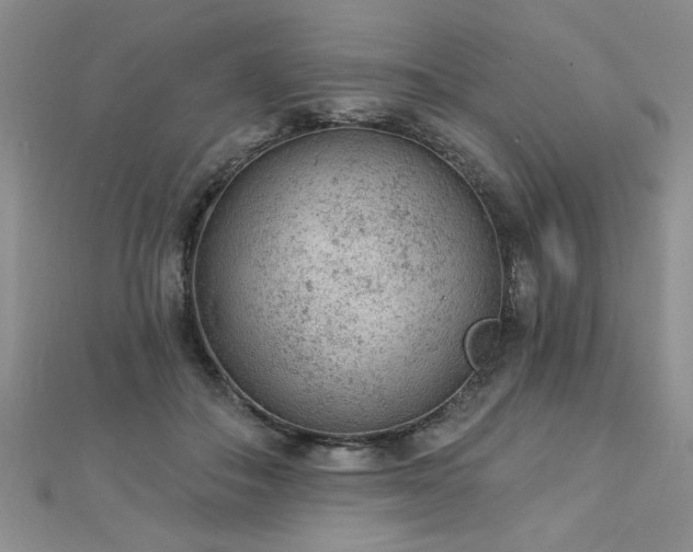 X0000112780506200908201532