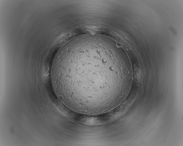 X0000112780507200908201532