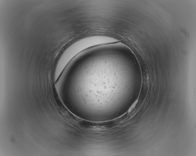 X0000112780508200908201532