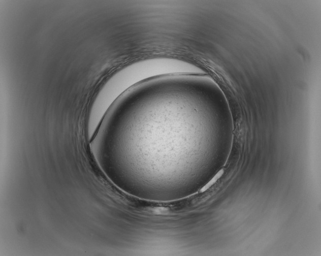 X0000112780509200908201531