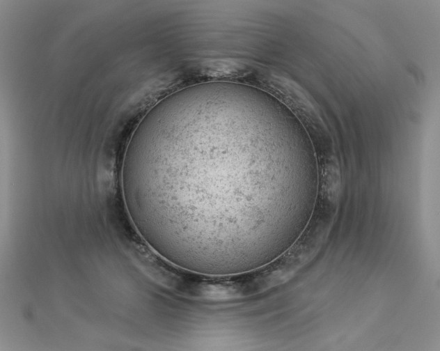 X0000112780510200908201531